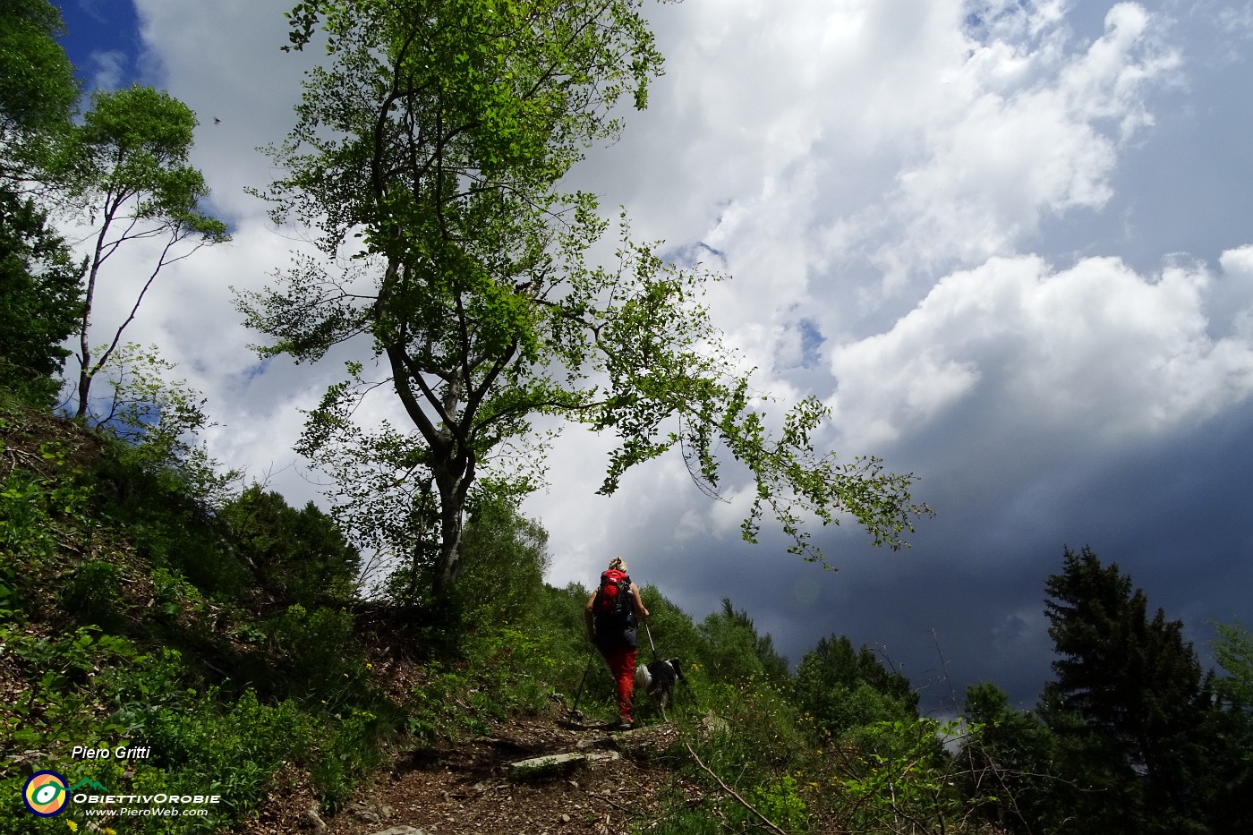 27 Salendo alla Bocchetta di Redondello.JPG